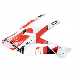 copy of